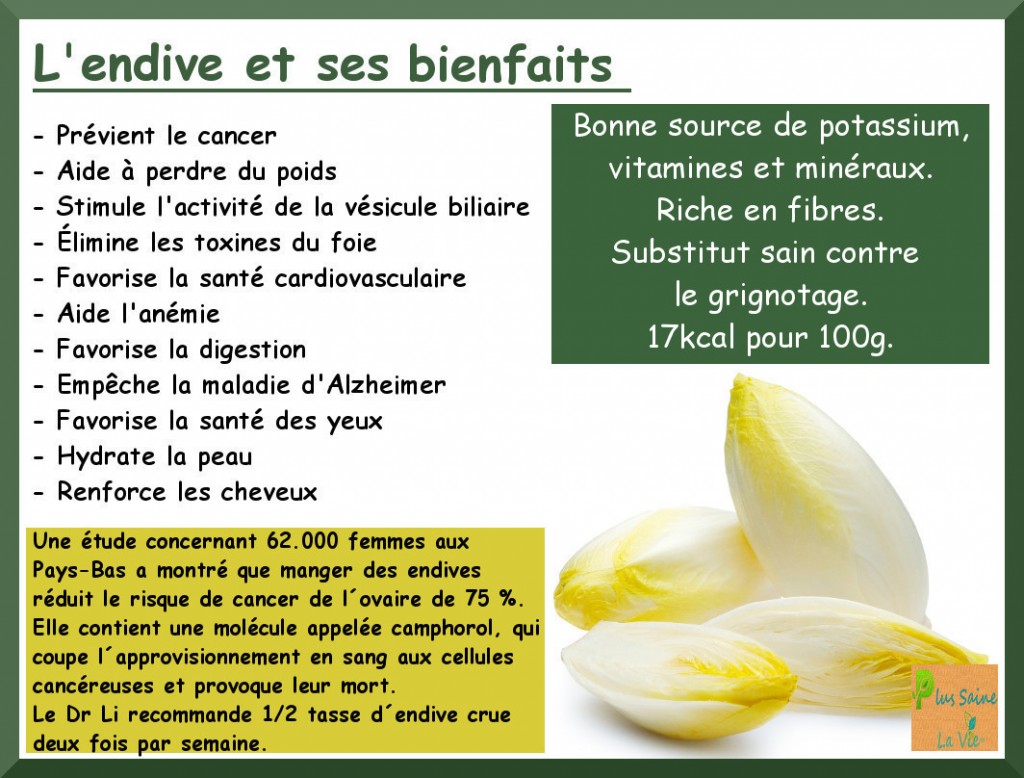 ENDIVE