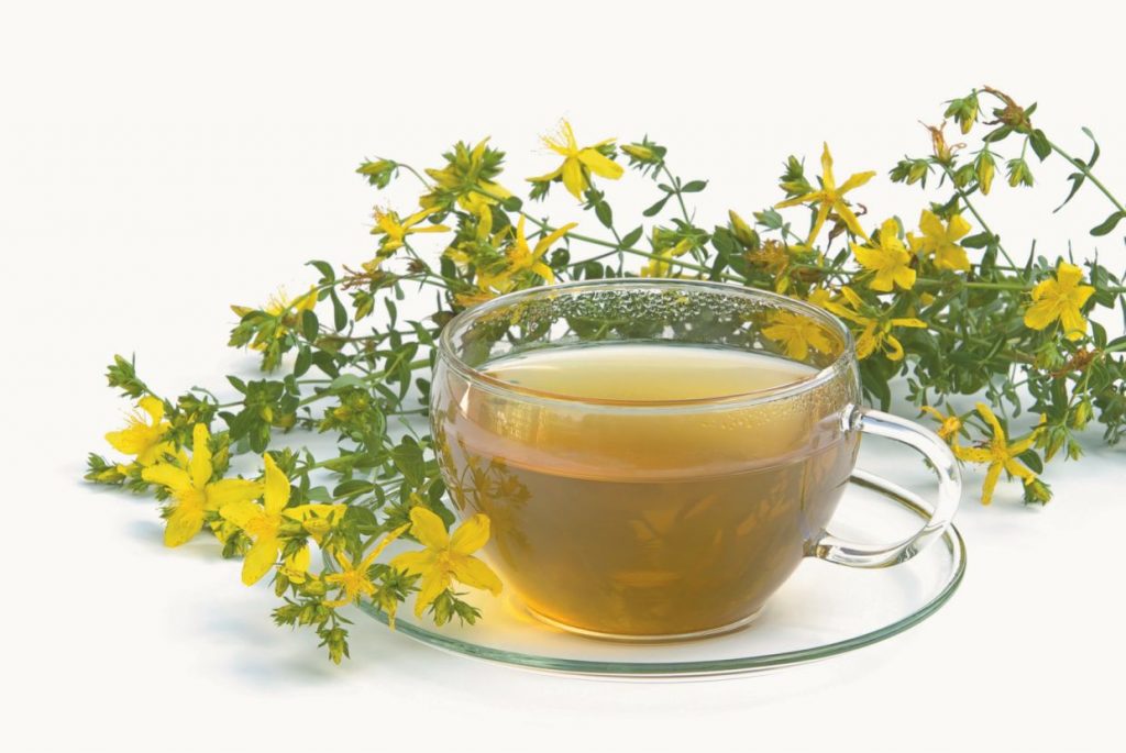 Tee Johanniskraut- tea St Johns wort 03