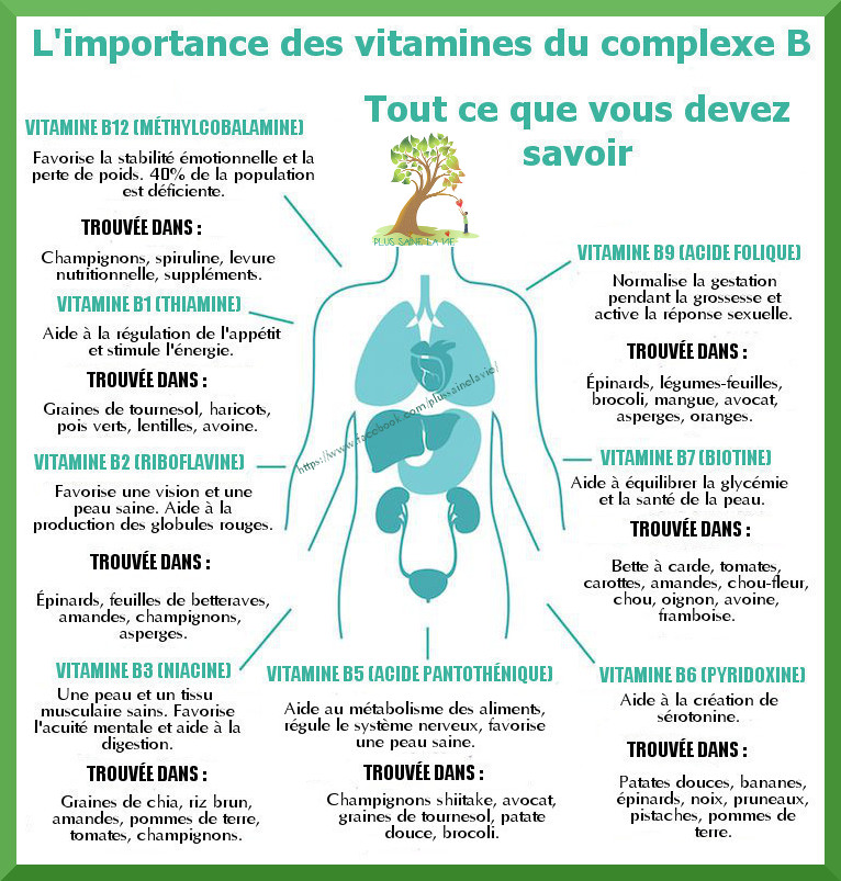Vitamines Du Complexe B Ce Qu elles Sont Et Pourquoi Vous En Avez 