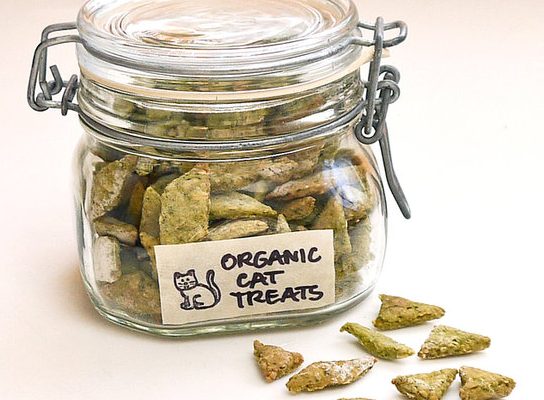 Faire Des Friandises Maison Pour Chat Faire Des Friandises Maison Pour Chat