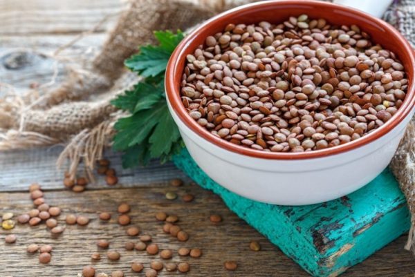 lentilles une source de protéines végétales