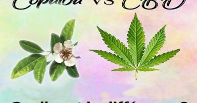 copaïba vs CBD