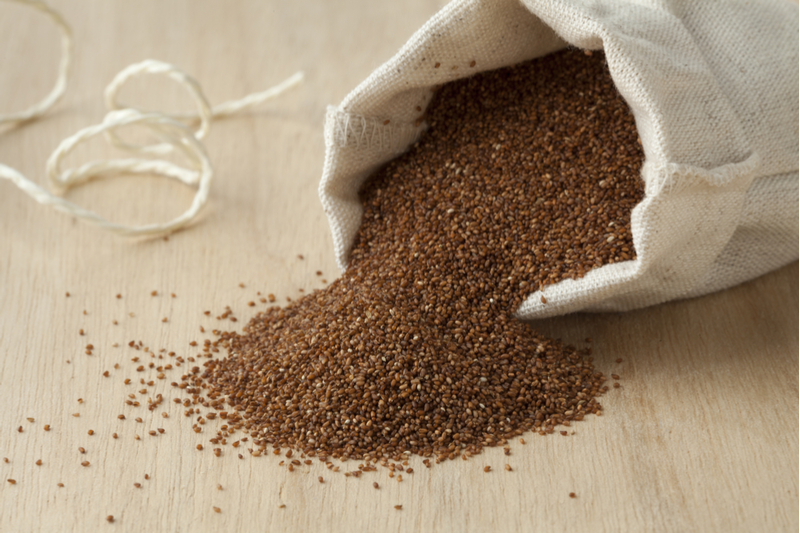 Farine de teff