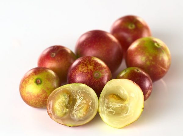 poudre de camu camu