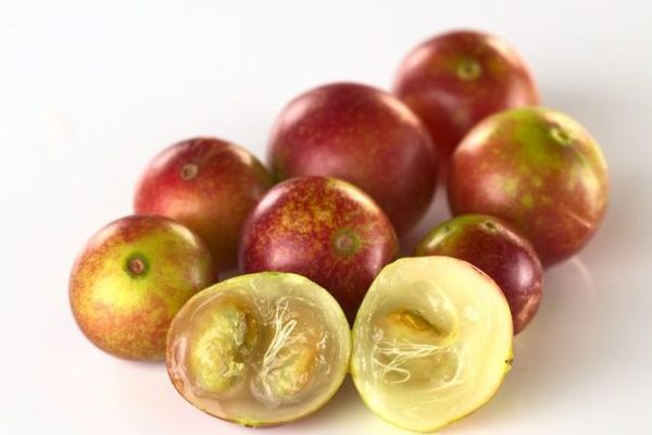 poudre de camu camu